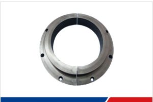 PEEK gas sealing ring